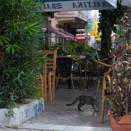 Acropolis Auberge de jeunesse Athènes